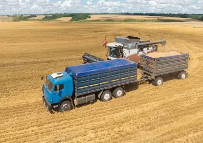 1,5 миллиона тонн зерна нового урожая собрали нижегородские аграрии 